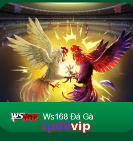 tp88vip