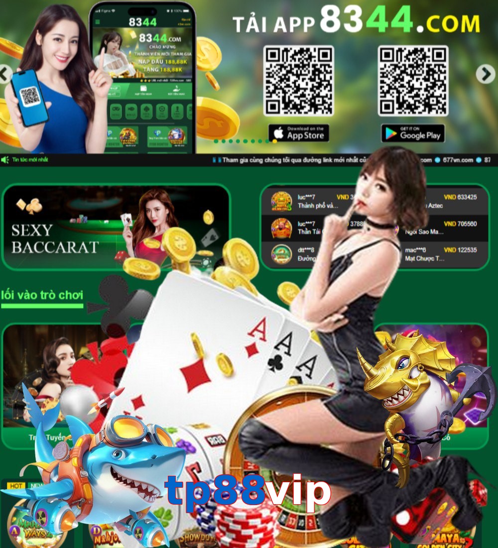 tp88vip